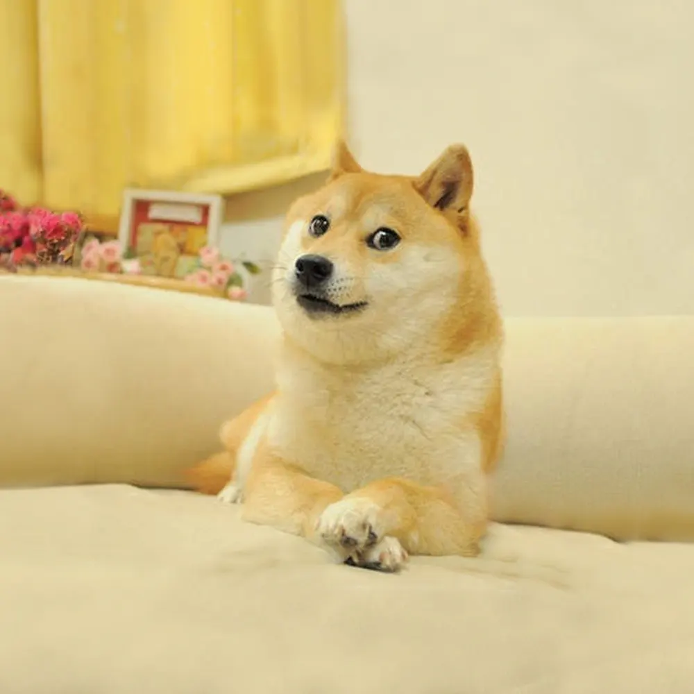 THE DOGE NFT